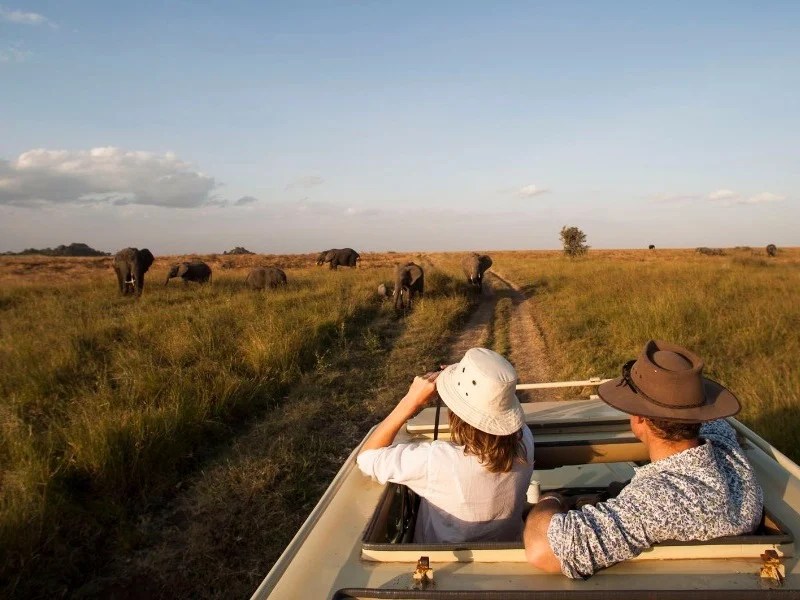 Tanzania Safari for Senior travelers