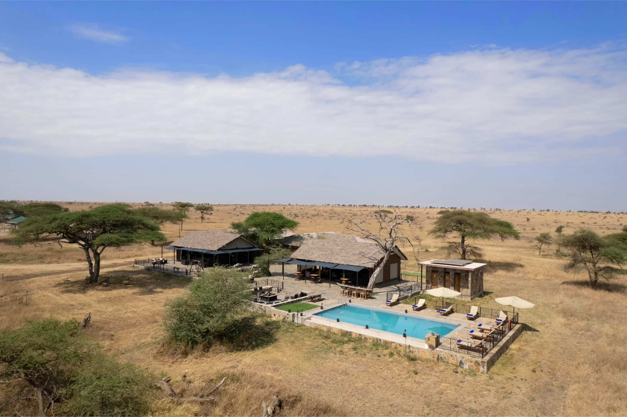 Semi-Luxury Accommodation: Serengeti Semetu Camp