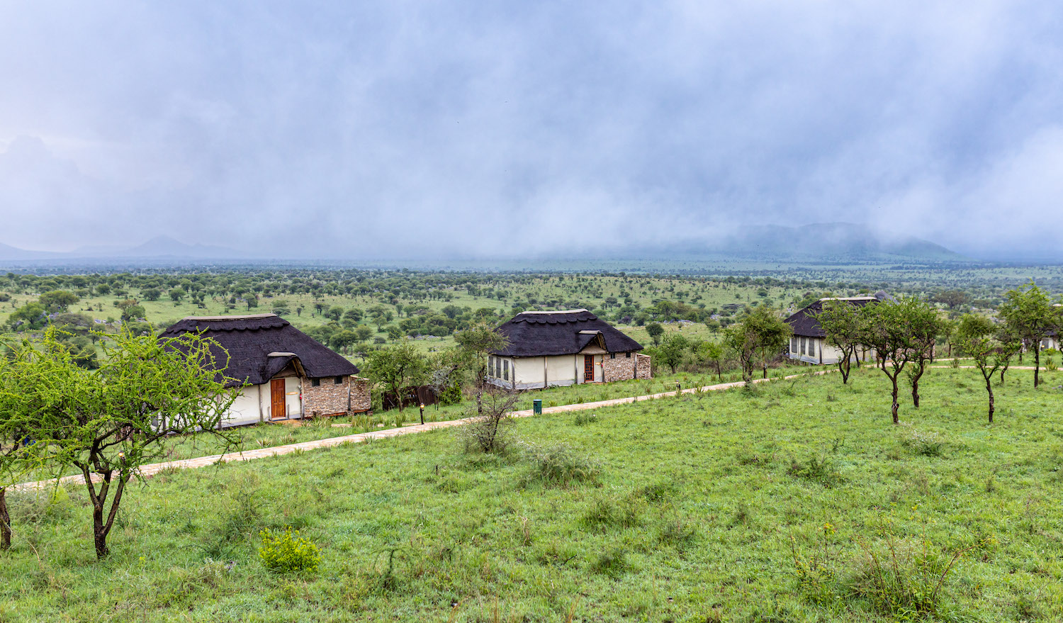 3Stars: Serengeti Safari Lodge