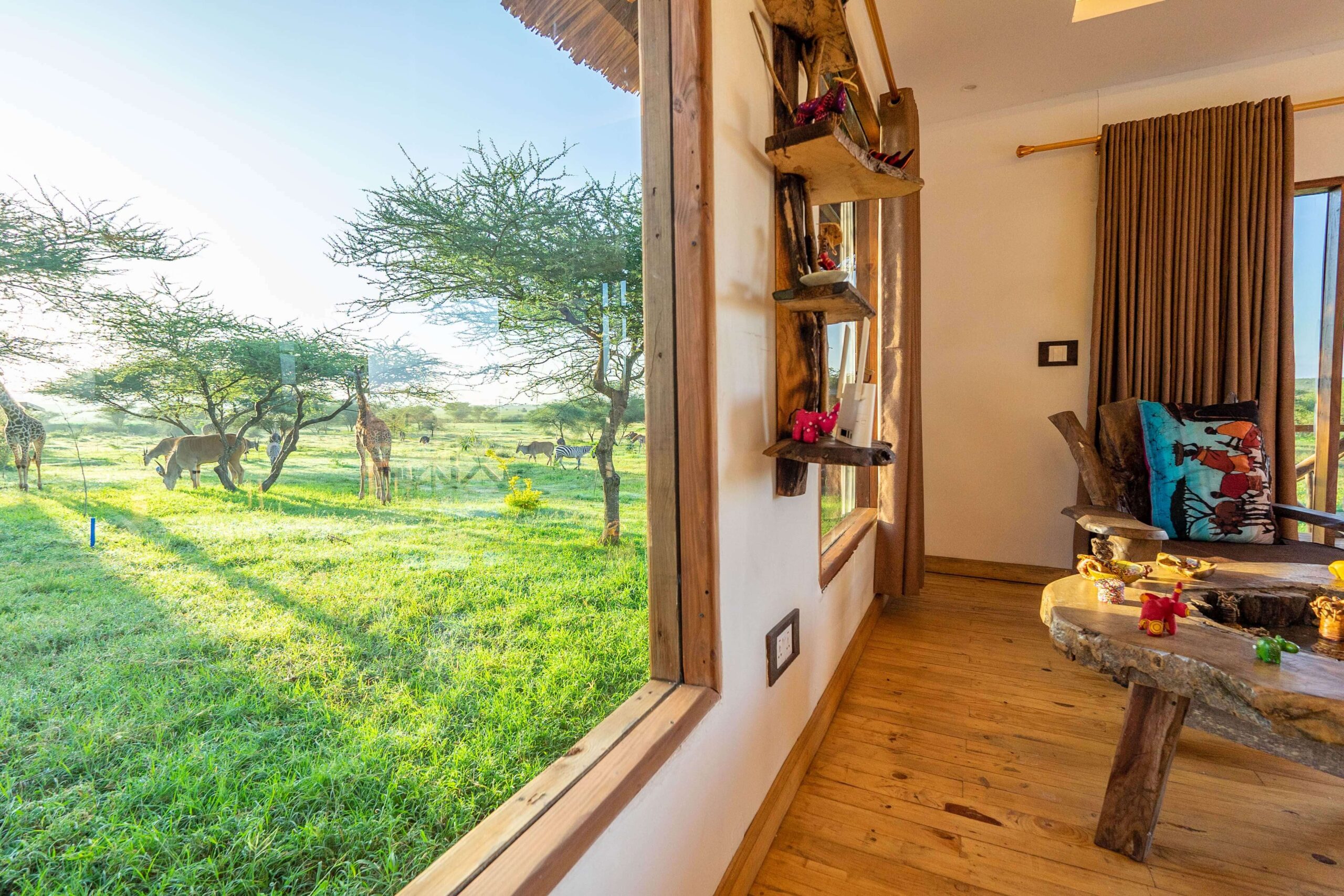 5 Stars: Serval Wildlife Lodge