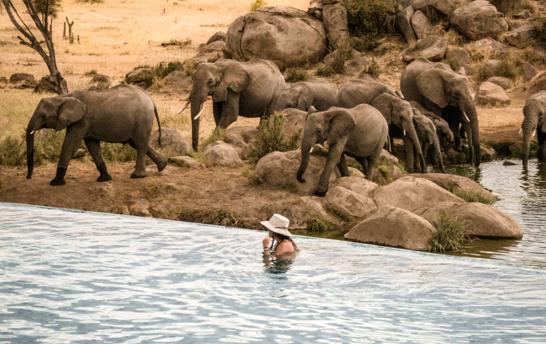 High End Accommodation: Four Seasons Serengeti