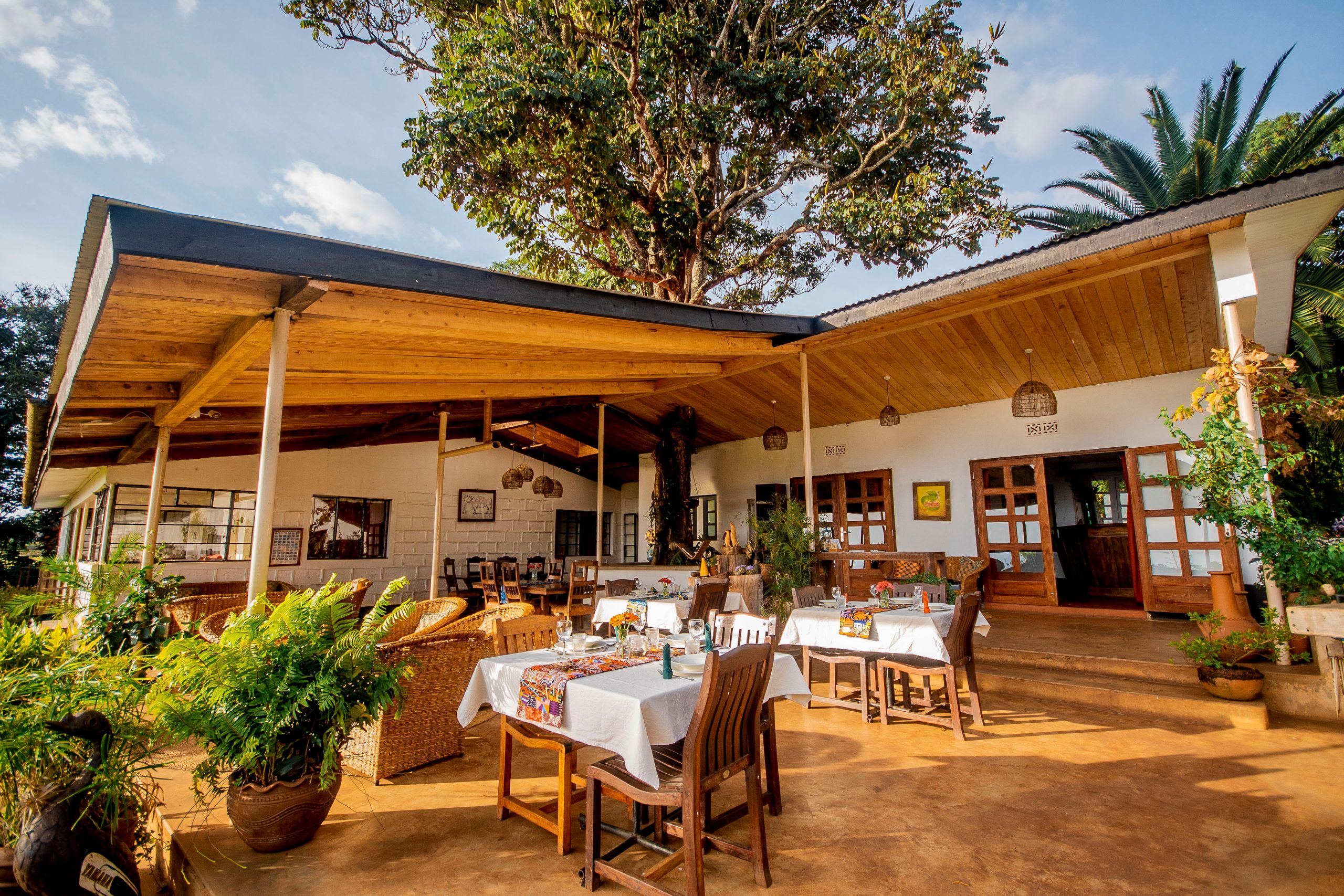 Semi-Luxury Accommodation: Simba Farm Lodge