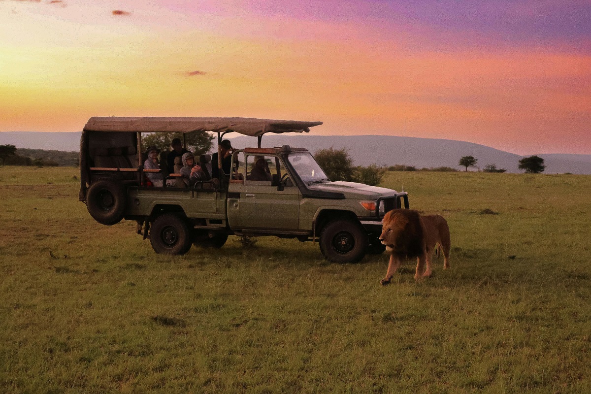 Kilimanjaro trek and Safari